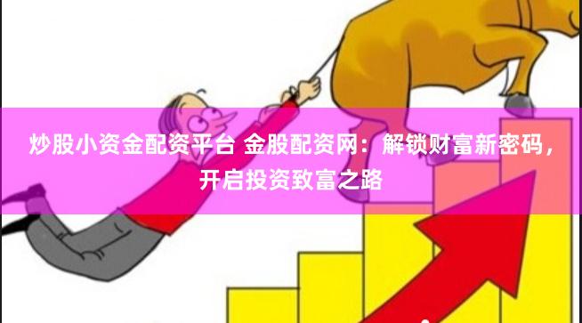 炒股小资金配资平台 金股配资网：解锁财富新密码，开启投资致富之路