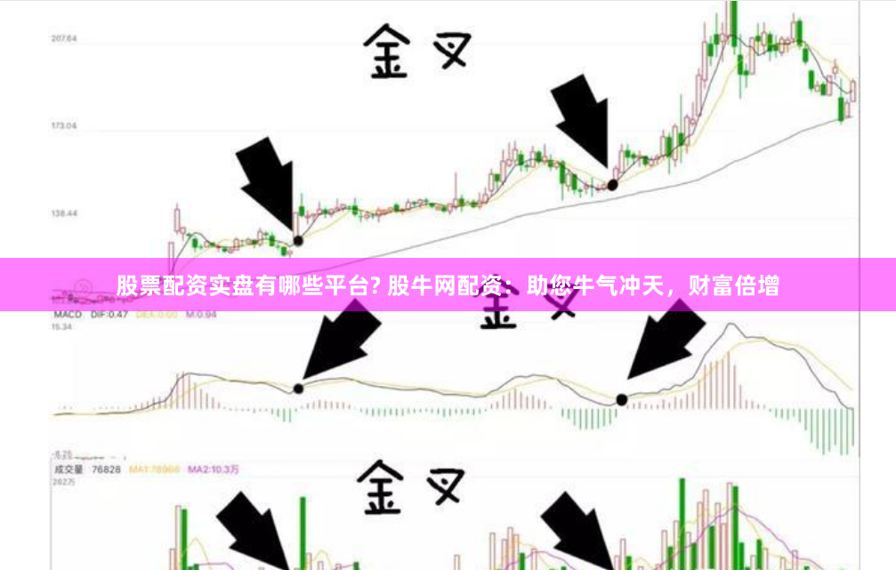 股票配资实盘有哪些平台? 股牛网配资：助您牛气冲天，财富倍增