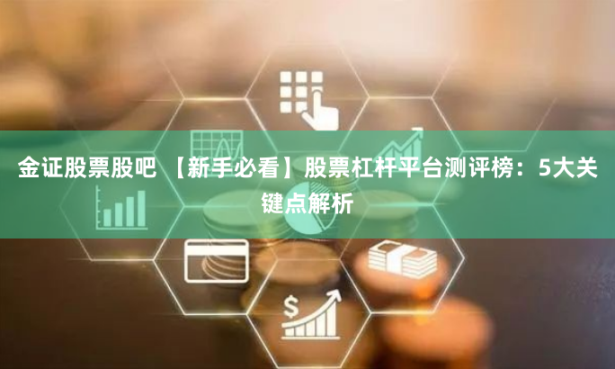 金证股票股吧 【新手必看】股票杠杆平台测评榜：5大关键点解析